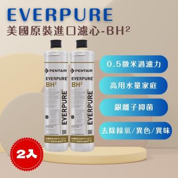 【EVERPURE】PENTAIR BH2 (2入) 濾心 濾芯 美國原廠進口 平行輸入 濱特爾