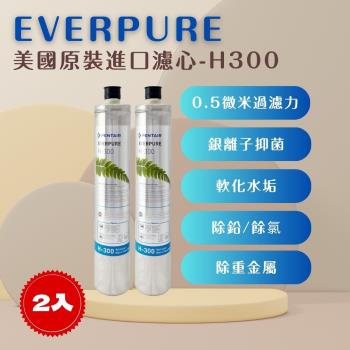 【EVERPURE】PENTAIR H300 (2入) 濾心 濾芯 美國原廠進口 平行輸入 濱特爾