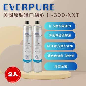 【EVERPURE】PENTAIR H300NXT (2入) 濾心 濾芯 美國原廠進口 平行輸入 濱特爾