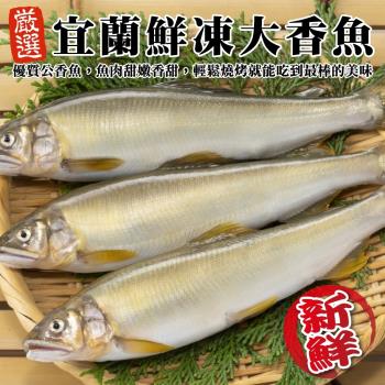 海肉管家-宜蘭鮮凍大香魚(8尾_920g/盒)