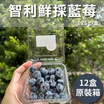 【水果狼FRUITMAN】嚴選智利鮮採藍莓 原裝箱