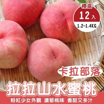 果物樂園-卡拉部落拉拉山水蜜桃6盒(12入_1.2-1.4kg/盒)