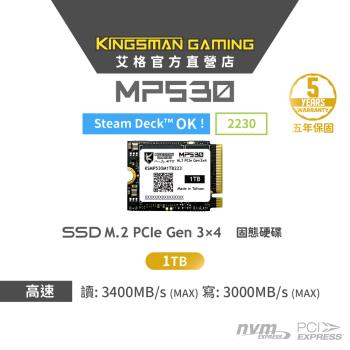 AITC艾格 KINGSMAN MP530 1TB M.2 2230 PCIe Gen3 SSD