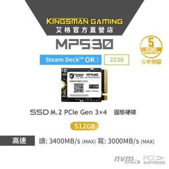 AITC艾格 KINGSMAN MP530 512GB M.2 2230 PCIe Gen3 SSD