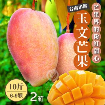 【初品果】台南玉文芒果10斤6-9顆x2箱