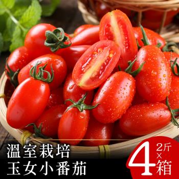 【嘉南小農】溫室栽培玉女小番茄2台斤x4箱(2盒/箱)