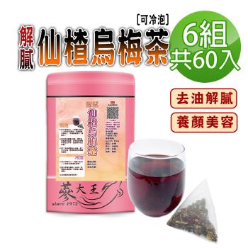 【蔘大王】解膩仙楂烏梅茶包X6組（6gX10入/組）促進新陳代謝 去油幫助消化 生津解渴