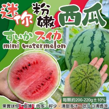 果物樂園-台灣MINE BALL迷你粉嫩西瓜4顆(約200-220g/顆)