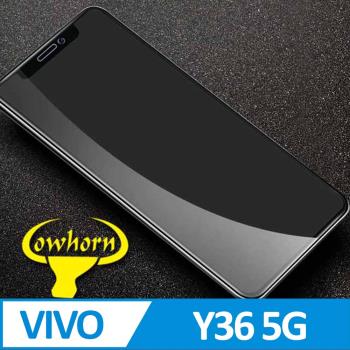 VIVO Y36 5G 2.5D曲面滿版 9H防爆鋼化玻璃保護貼 黑色