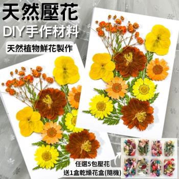 【A-ONE】綜合壓花材料包 乾燥花 DIY花材 花藝材料 乾燥花 永生繡球花 香薰蠟燭 浮油花 壓花 花材