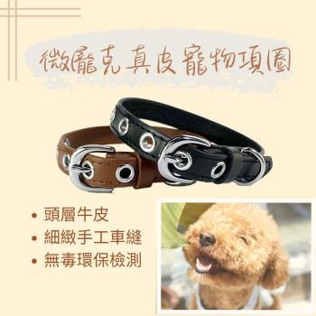 真牛皮寵物項圈 高質感狗狗項圈 狗狗時尚配件 微龐克寵物項圈 (微微龐克C2)