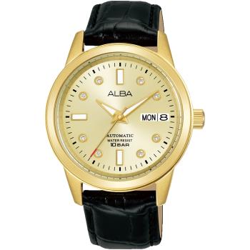 ALBA 雅柏 潛水風格時尚機械女錶/金X黑/36mm (Y676-X085G/AL4672X1)