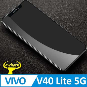 vivo V40 Lite 5G 2.5D曲面滿版 9H防爆鋼化玻璃保護貼 黑色