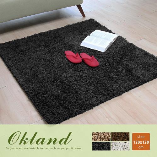 【H&D】奧克蘭素色簡約長毛地毯(120*120公分)