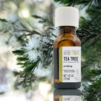 【Aura cacia 卡希雅】美國原裝進口 茶樹原萃精油(15mL)