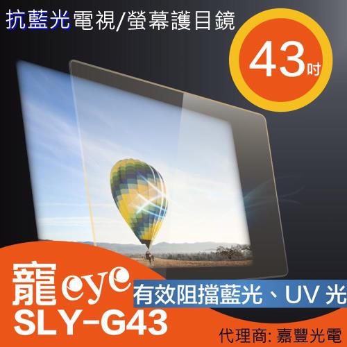 43吋 抗藍光液晶電視/螢幕護目鏡 (SLY-G43)