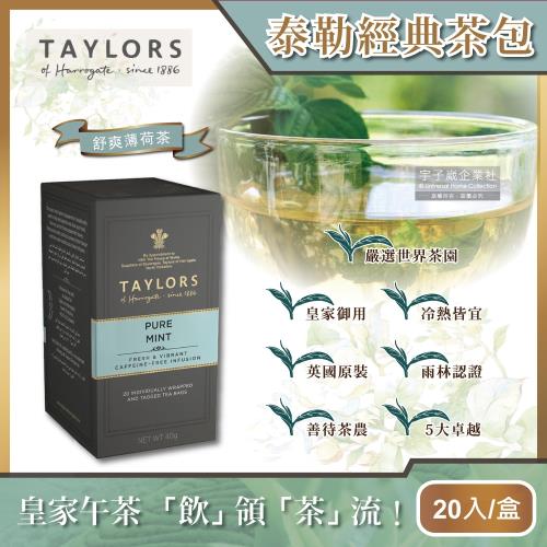 【英國皇家泰勒茶Taylors】特級經典茶包系列-舒爽薄荷茶 20包/盒(花草茶/草本茶)