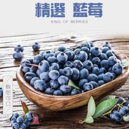 果物樂園-智利/祕魯/紐西蘭藍莓12盒(約125g/盒)