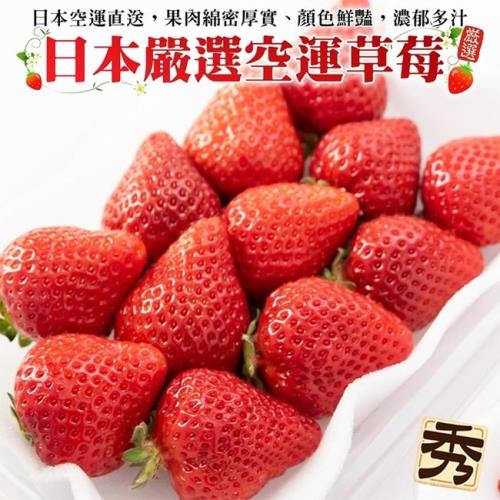 果物樂園-日本熊本/福岡/佐賀/長崎空運草莓1P(約300g/盒)
