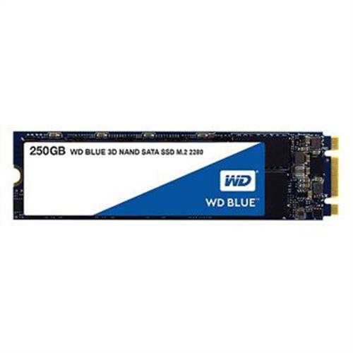 WD SSD 250GB M.2 2280 SATA 3D NAND固態硬碟(藍標) (WDS250G2B0B)