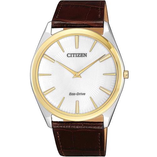 CITIZEN星辰 光動能 內斂沉穩薄型設計腕錶(銀x金框/39mm) AR3074-03A