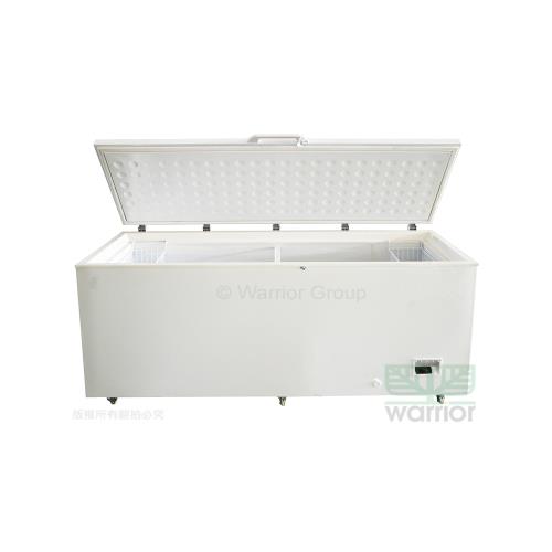 日本JCM 456公升-60℃超低温6尺3冷凍櫃 DW-60W456