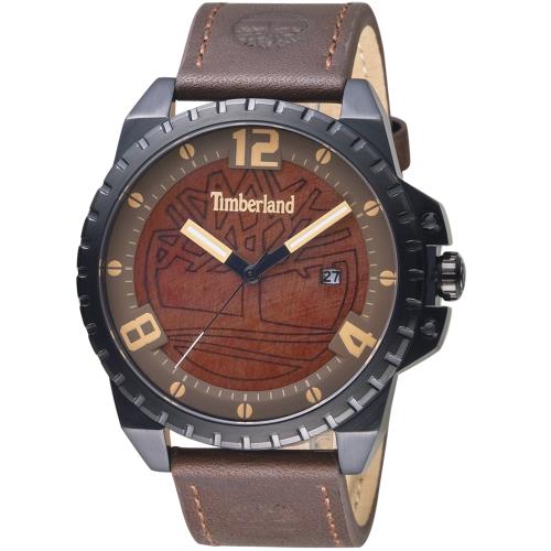 Timberland 越野個性粗獷腕錶(TBL.15513JSB/12)45mm