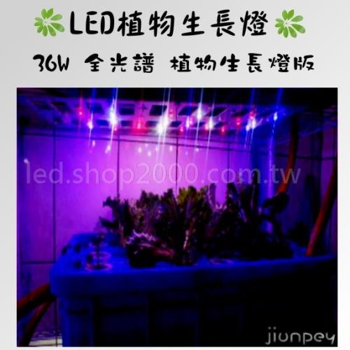  660nm紅光 + 430nm藍光LED 36瓦 全光譜 君沛光電 led植物生長燈版