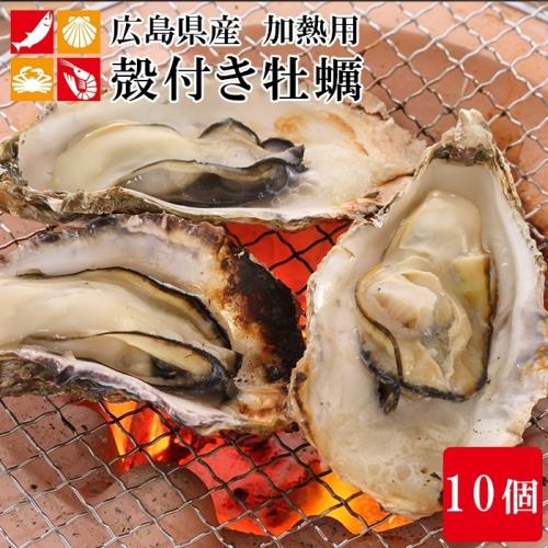海肉管家-活凍日本廣島帶殼牡蠣1包(每包10顆/約950g±10%)