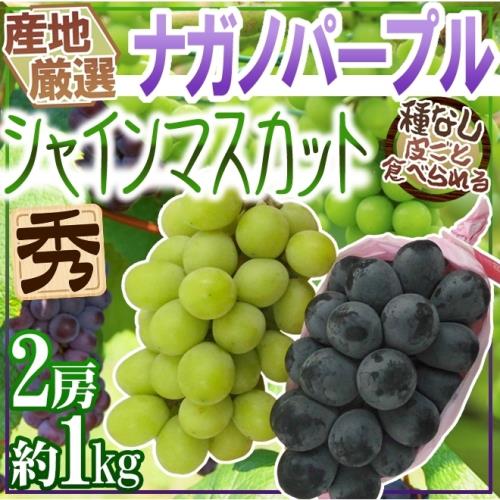 果物樂園-日本麝香+貓眼雙色葡萄禮盒(各1串/每串550g±10%)