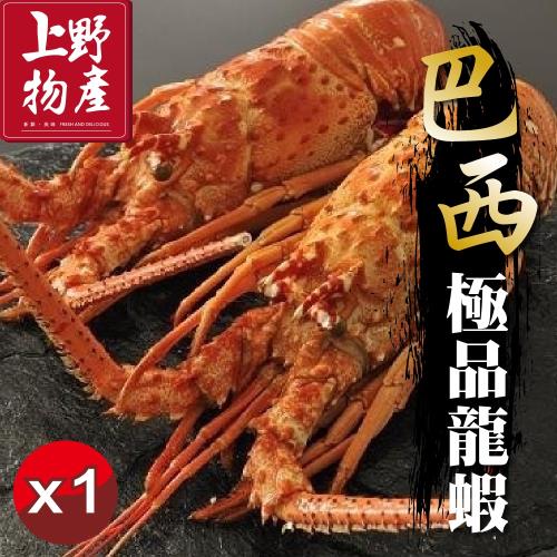 上野物產 特選頂級巴西龍蝦 (410g土10%/隻) x1隻  (龍蝦 蝦子 海鮮 生鮮 批發 蟹)