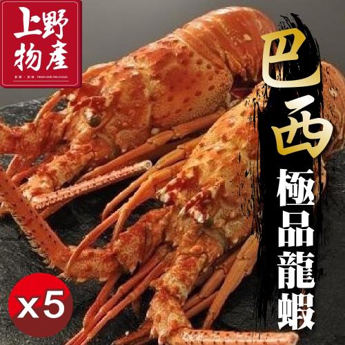 上野物產 特選頂級巴西龍蝦 (410g土10%/隻) x5隻  (龍蝦 蝦子 海鮮 生鮮 批發 蟹)