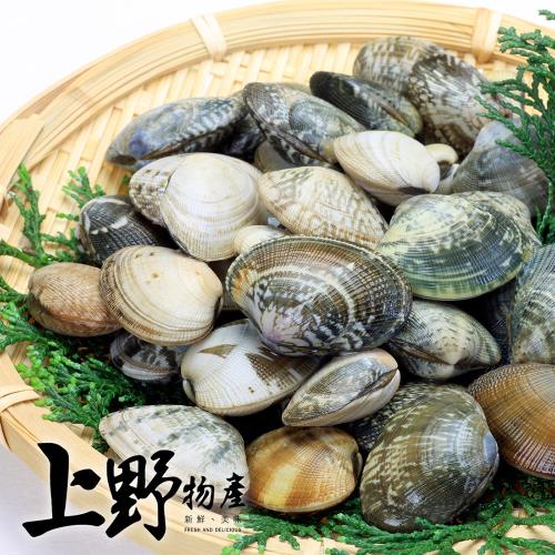 【上野物產】急凍生鮮海瓜子(500g±10%/包) x5包