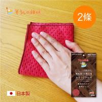 日本神樣 掃除之神 日製木質/大理石家具專用絨面極細柔毛清潔布-2條入