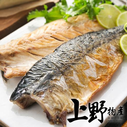【上野物產】巨無霸挪威薄鹽鯖魚片（220g±10%/片）x19片