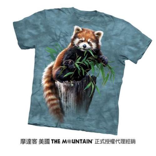【摩達客】美國進口The Mountain  覓食小熊貓 純棉環保短袖T恤