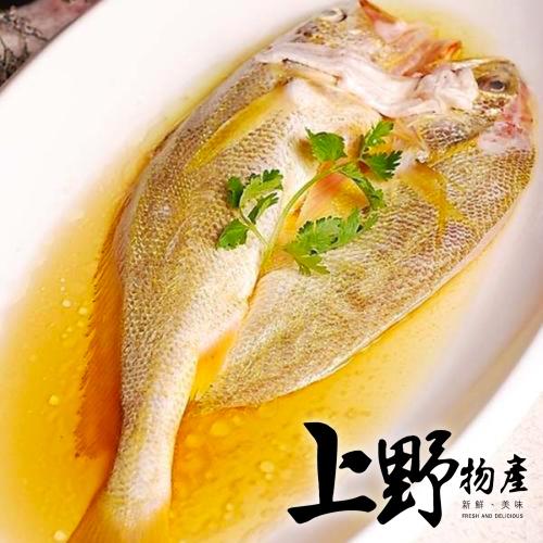 【上野物產】野生黃魚一夜干x2隻 （350g±10%/隻）