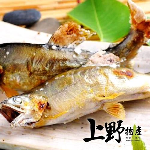 【上野物產】宜蘭公香魚 (100g土10%/隻)x1隻