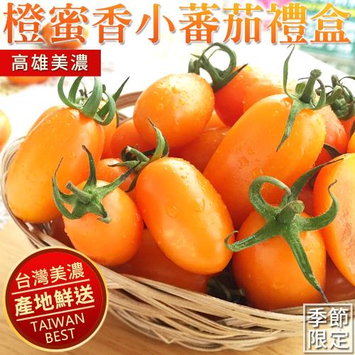 預購【高雄美濃】產銷履歷橙蜜香小番茄5斤x1盒