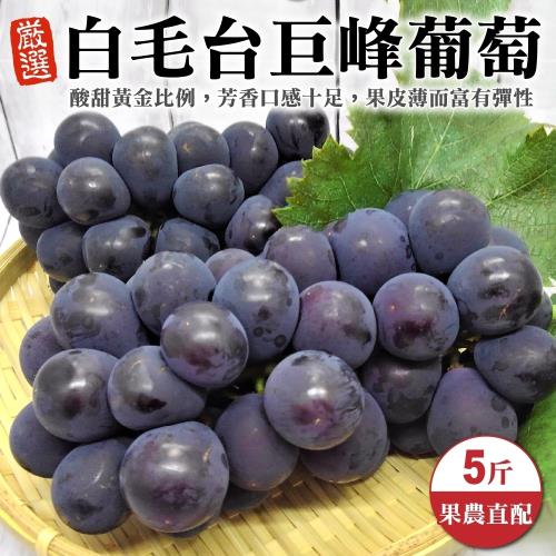 果物樂園-台灣外銷級白毛台黑鑽巨峰葡萄(1箱/每箱5斤±10%含箱重)