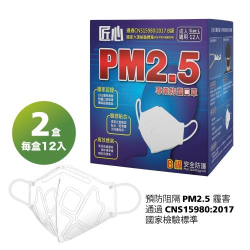 【匠心】PM2.5專業3D立體防霾口罩-12入/X2盒-免運 【康匠】【卜公家族】