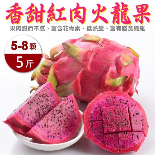 果農直配-台灣紅肉火龍果(5-8入_約5斤/箱)