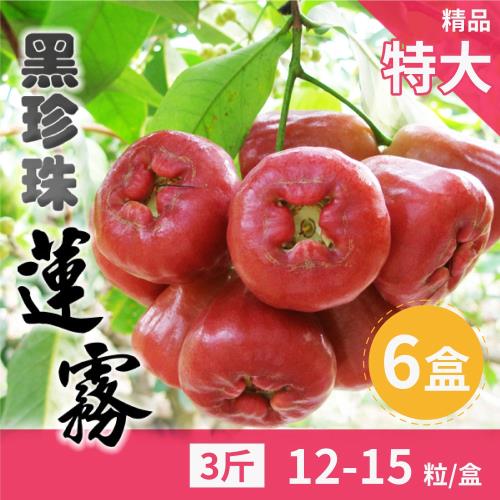 家購網嚴選 屏東枋寮黑珍珠蓮霧3斤x6盒 (約12-15粒/盒) 精品特大