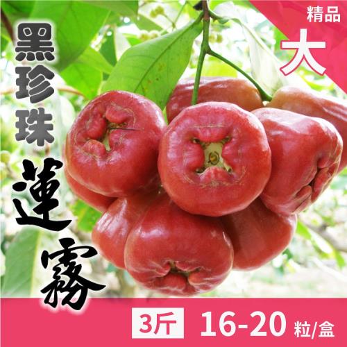 家購網嚴選 屏東枋寮黑珍珠蓮霧3斤x1盒 (約16-20粒/盒) 精品大