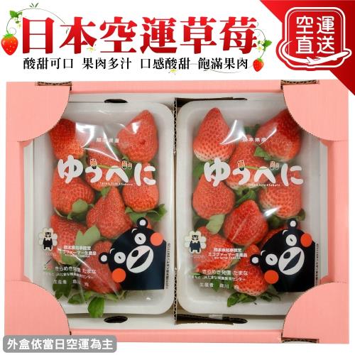 果物樂園-日本熊本/福岡/佐賀/長崎空運草莓2Px2盒(約550-600g/盒)