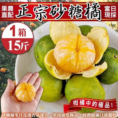 果農直配-台灣正宗砂糖橘1箱(約15斤/箱)