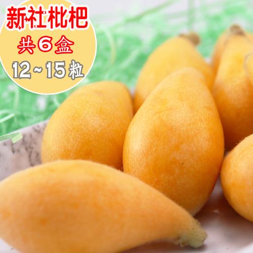 愛蜜果 新社枇杷12-15粒 共6盒(淨重約450g±5%/每盒)