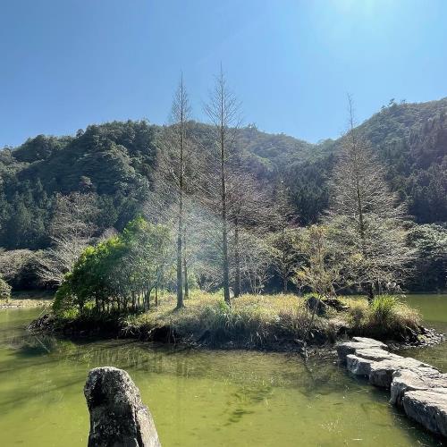 明池國家森林遊樂區．馬告神木園．明池山莊2日假(四人一室)-單人券22TEYLNCAA【雄獅旅遊】