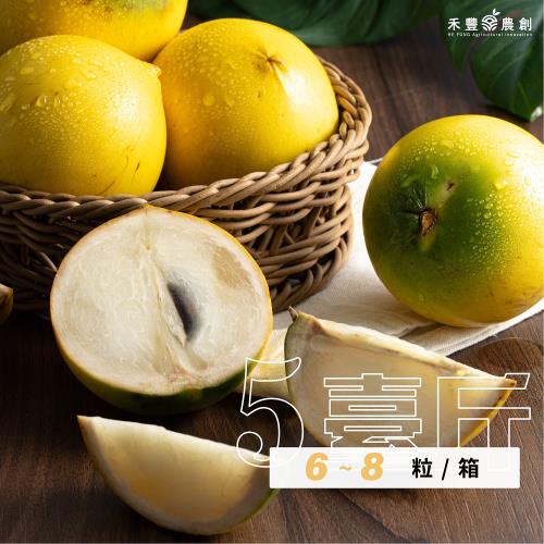 【禾豐農創】黃金果abiu-5台斤大果(6-8顆)