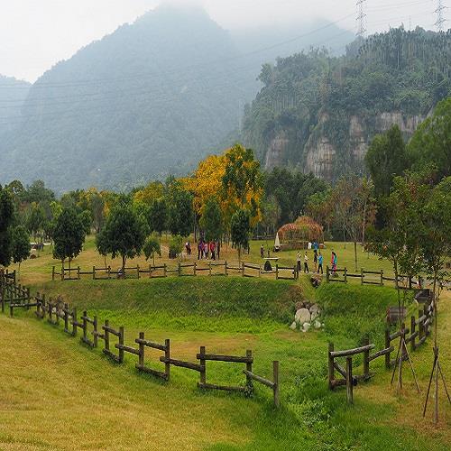 阿里山森呼吸.頂石棹步道.巨木秘境.入住山上文山賓館二日平(四人一室)-單人券 22TSCYIGS1【雄獅旅遊】